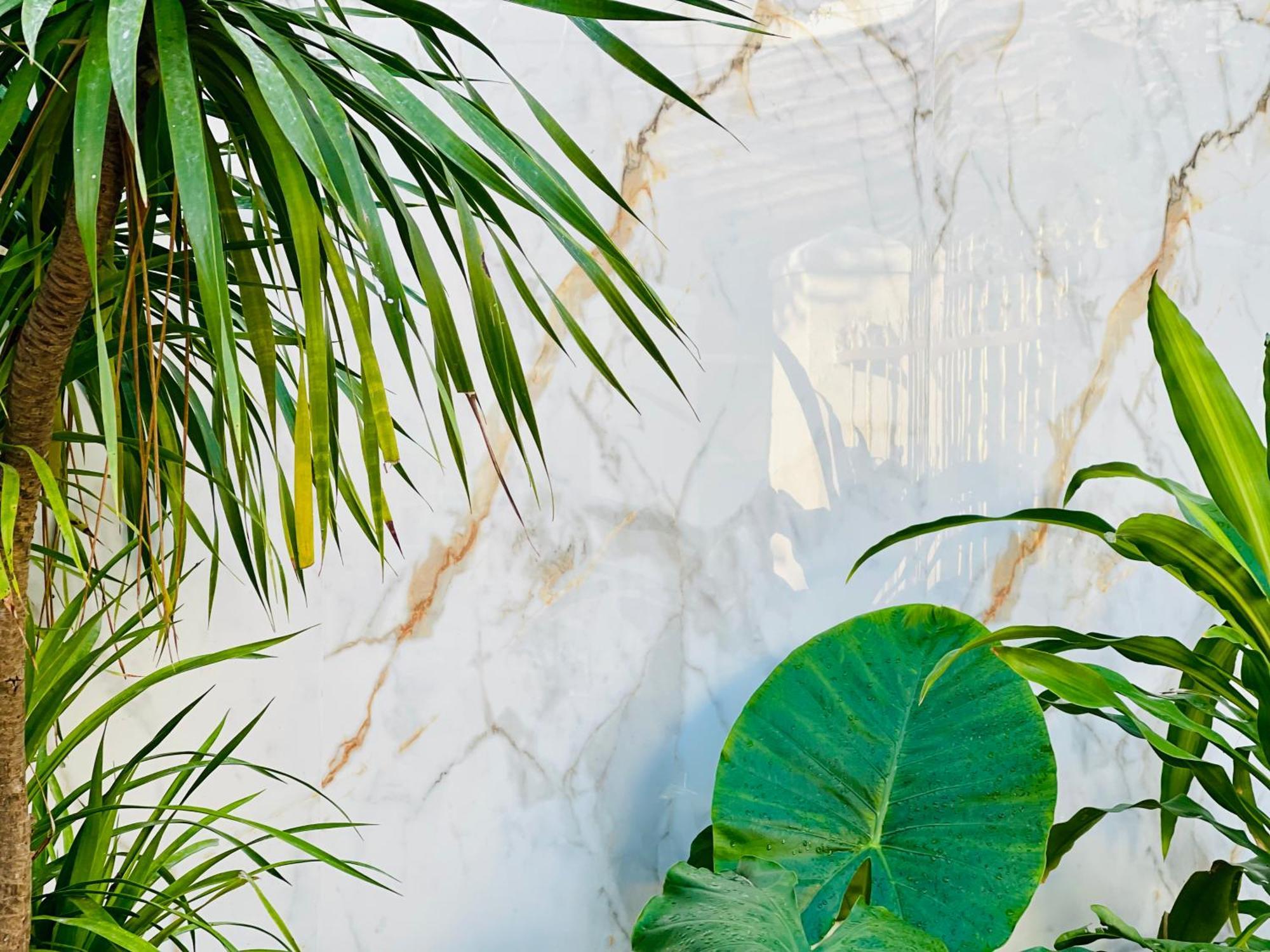 Tina House Apartment Da Nang Zewnętrze zdjęcie